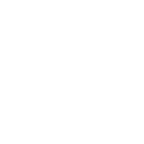 Chrissie logo
